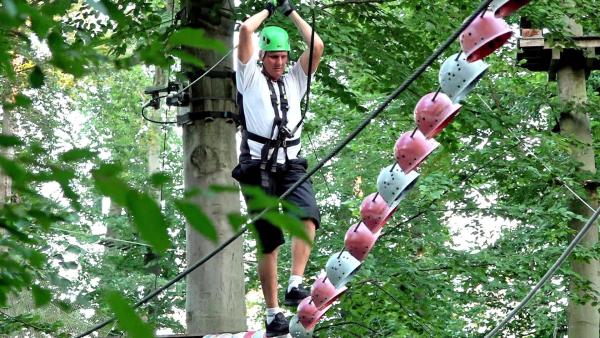 Bild 1 von 1: Furchtlos zeigt sich Familienvater Elvis im Kletterwald