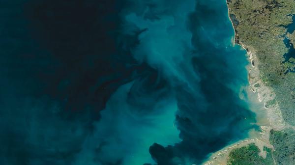 Bild 1 von 2: Satellitenbild der leuchtenden Algenblüte vor den nordfriesischen Inseln.