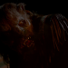 Wolves