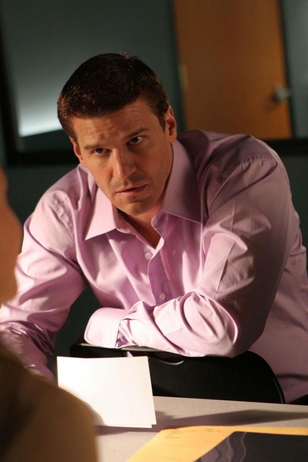Bild 1 von 10: Booth (David Boreanaz)