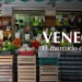 Im Bauch von Venedig
