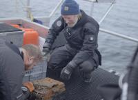 Mythos Enigma - Tauchgang in die Vergangenheit