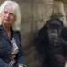 Als die wilden Tiere in den Norden kamen