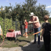 Von Hecke zu Hecke - Bunte Beetgeschichten