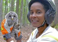 Pia und die wilden Tiere