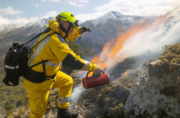 Bild 1 von 3: Förster auf Korsika setzen auch auf kontrolliertes Abbrennen, um große Walbrände zu verhindern.