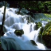 Wiener Wasser