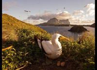 Australiens verborgenes Paradies - Lord Howe Island