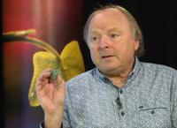 Kawohl Augenblicke
