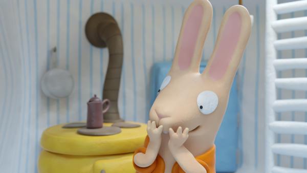 Bild 1 von 4: Hase Bio