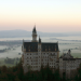 Wilde Heimat