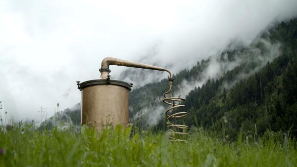 Der Duft der Alpen - Kosmetik aus Österreich