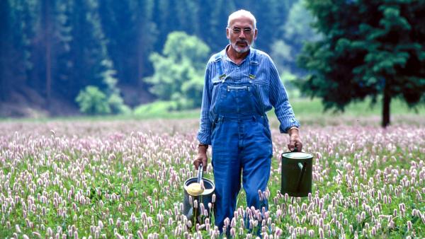 Bild 1 von 1: Gummi ist eine tolle Erfindung, davon ist Peter (Peter Lustig) überzeugt. Doch was hat der elastische Stoff mit seinem Gummibaum zu tun?