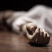 Histoires de crimes : portraits de tueurs