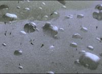 Apokalypse - Der Zweite Weltkrieg