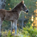 Abenteuer Wildnis