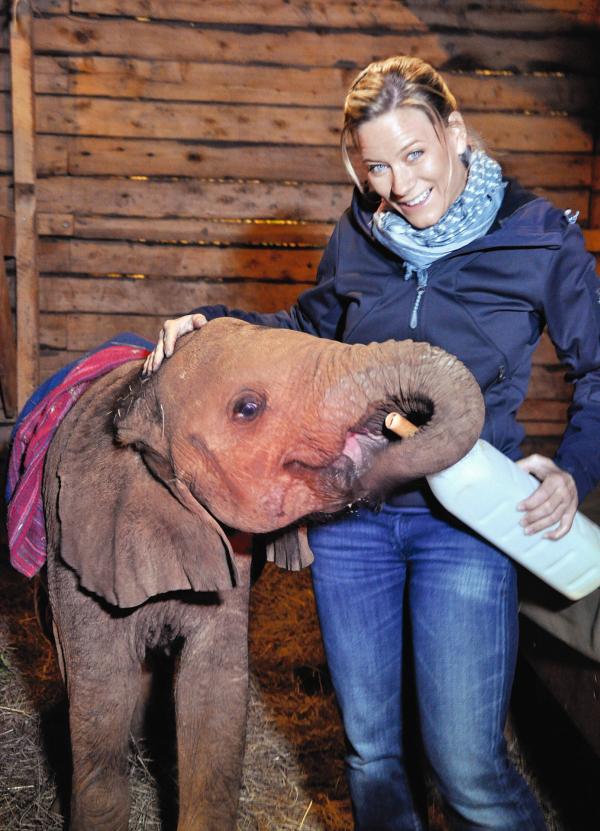 Bild 1 von 3: Andrea Jansen besucht Elefanten-Waisenbabys des David Sheldrick Wildlife Trust.