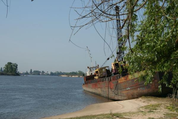 Bild 1 von 9: Am Zusammenfluss von Sor und Raia wurden die Urpferde Anfang des 20. Jahrhunderts entdeckt, die heute Sorraias heißen.