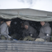 Special Forces Bootcamp - In der Trainingshölle der British Army