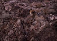 Amerikas Naturwunder: Das Erbe des roten Flusses