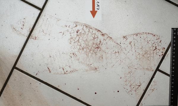 Bild 1 von 3: Am Tatort in Berlin, an dem eine Frau brutal mit einem Messer ermordet wurde, findet die Spurensicherung die blutigen Schuhabdrücke des Täters