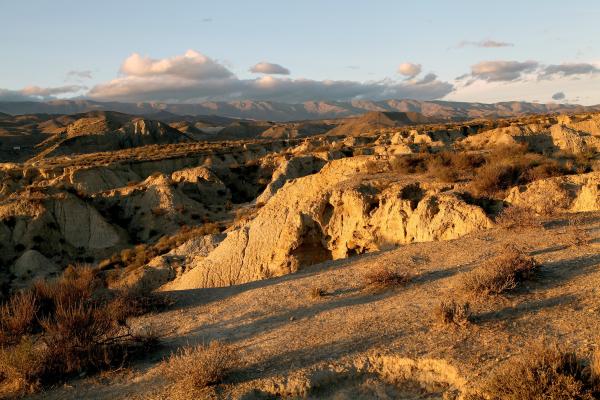 Bild 1 von 5: Die Wüste von Tabernas in Andalusien ist die offiziell einzige Wüste Europas.