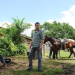 The Glades
