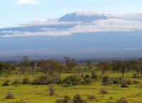 Afrika von oben: Wildnis