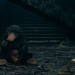 Phantastische Tierwesen: Dumbledores Geheimnisse