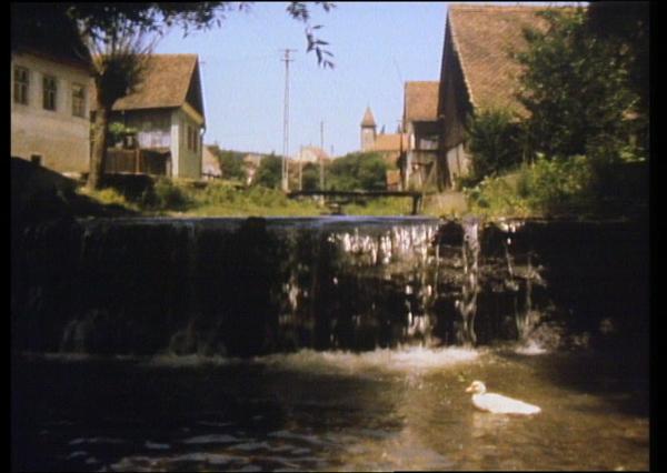 Bild 1 von 3: Der Dorfbach in Michelsberg.