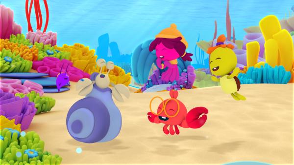 Bild 1 von 3: Dieses Haus ist für Iggi zu groß.