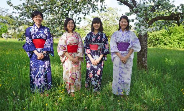 Bild 1 von 7: Hanami-Impressionen aus schwäbischen Streuobstwiesen.