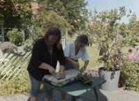 Mein urbaner Garten - Zwischen Blüten und Beton