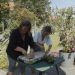Mein urbaner Garten - Zwischen Blüten und Beton