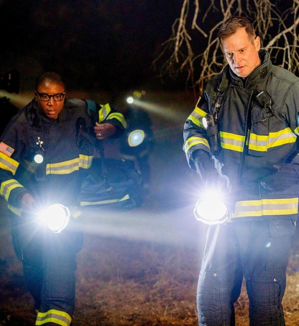 Bild 1 von 27: Im Bild: Aisha Hinds (Henrietta 'Hen' Wilson), Peter Krause (Bobby Nash).