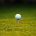 Discovery Golf