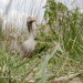 Abenteuer Wildnis