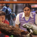The Big Bang Theory