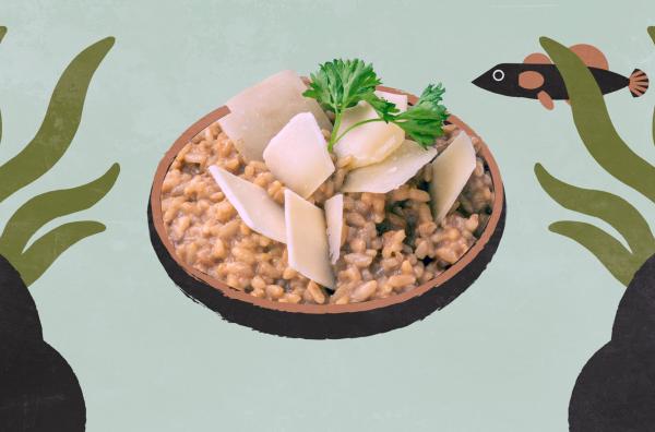 Bild 1 von 2: Das Risotto di gò ist das kulinarische Markenzeichen Venedigs.