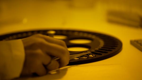 Bild 1 von 4: Um das Alter der \