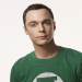 The Big Bang Theory
