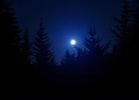 UFO-Theorien - Zwischen Fakt und Fiktion: Rendelsham