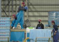 Shinkansen: Der pünktlichste Zug der Welt