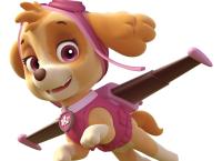 PAW Patrol - Helfer auf vier Pfoten