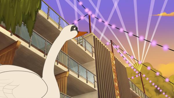 Bild 1 von 3: Schwan Hokuspokus fühlt sich verleitet immer wieder auf das Dach des neuen und hell beleuchteten Hauses in Müggeldorf zu fliegen. Doch von dort kommt er nicht mehr weg.