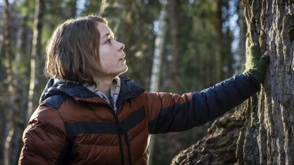 Bild 1 von 2: Luca (Sander Løkke Borg) erkundet den Wald.