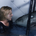 Ice Sharks