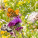 Bild 19