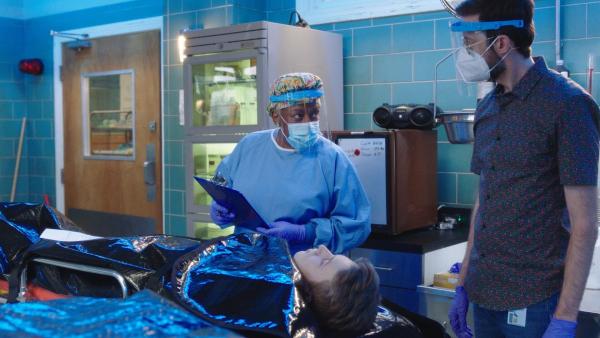 Bild 1 von 9: Loretta Wade (CCH Pounder, l.); Sebastian Lund (Rob Kerkovich, r.)