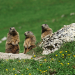 Abenteuer Wildnis